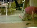 Laminate Floor TimeLapse Pt.2&3 Laminate Floor TimeLapse Pt.2&3