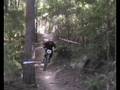 Mt Coramba