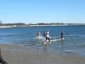 videos de Polar Plunge - Compo Beach, Westport, CT - January 1, 2009
