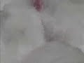 Thumbnail #3