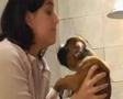 Romita boxer chupando a Noemi