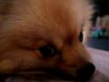 A Cute Boo Boo