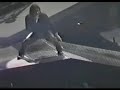 Creed -  Higher ( Live in Toronto 2002 )