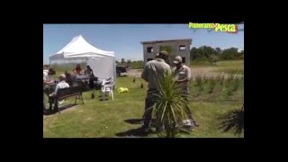 Programa especial en Panorama de Pesca - TRUCHAS: