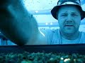 Cutter Bees for Alfalfa Cutter Bees for Alfalfa