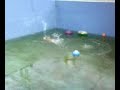 Rayito Test 08