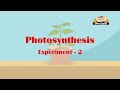 Learn about Plants in Hindi - Photosynthesis Experiment 2