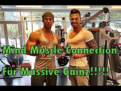 muscle