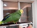 Poncho talking!