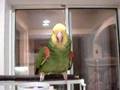 View Video