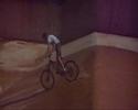 RUMY RIDER -UN DIA EN EL RIO -