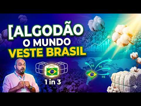 Algodão - O mundo veste Brasil: 1 em cada 3 fardos exportados tem origem brasileira.
