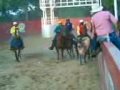 coleo en guasdualito