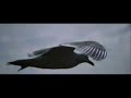 Noorie - Hindi Remix - Drum N bass - Aaja re