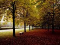 F. Chopin's Nocturne in C-sharp (Alexander Skwortsow)