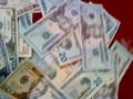 videos de dollers