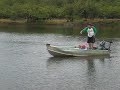 PESCA DE PAVON