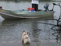 PESCA DE PAVON