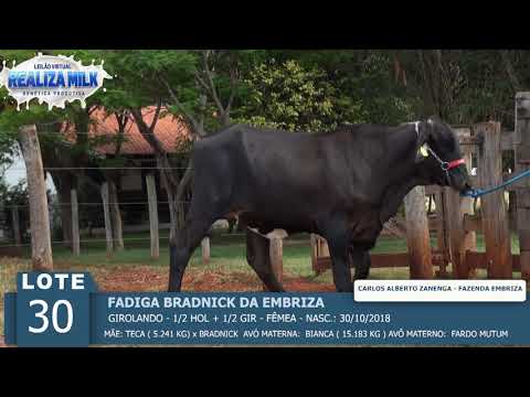 LOTE 30 - FADIGA BRADNICK  -