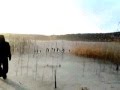Virgis Stakėnas - Kalėdų rytą