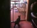 #funniestthingonyoutube http://bit.ly/X0Otx