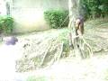 videos de MOV02397.avi