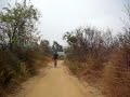 Mountain Biking the Fullerton Loop California tree kiss Mountain Biking the Fullerton Loop California tree kiss