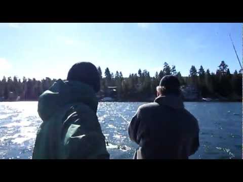 Lucky Bear Fishing Charters Big Bear California