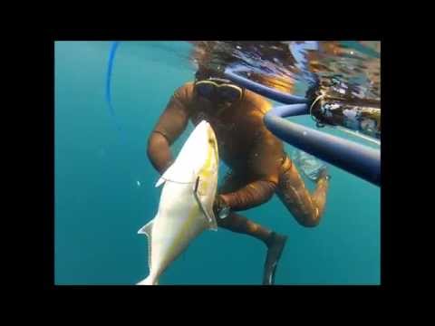 spearfishing in kuwait 2013 part 2