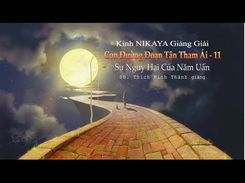 Kinh NIKAYA Giảng Giải - Con Đường Đoạn Tận Tham Ái 11 - Sự Nguy Hại Của Năm Uẩn