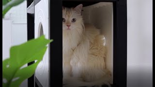 video thumbnail CUBICS1 Cat Tower Table, Cat House youtube
