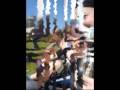 Vid�o Gwen