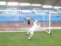 AMAZING-SOCCER-SAVE
