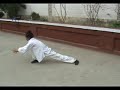 a kung fu master's amazing exercise