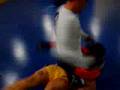 Valetudo marbella gracie barra 3 