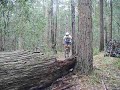 trail riding