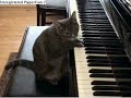 Chathoven