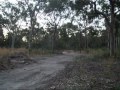 The Forster Bike Jumps
