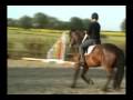 videos de Karl my pony...bad news =(