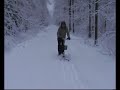 Tõukekelguga värskes lumes