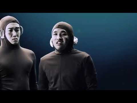 動画