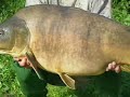 La Graviers - Record Leather Carp - 56lb - Frank Warwick La Graviers - Record Leather Carp - 56lb - Frank Warwick