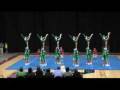 Summerville High School Cheerleading Team 2008