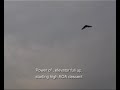 ARROW-E high AOA
