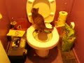 My kitten using the Litter Kwitter toilet