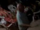 este es mi tio el pelon bailando la jaiba este es mi tio el pelon bailando la jaiba