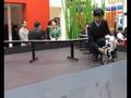 Murata cycling robot - Electronica 2008