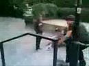 noseslide noseslide