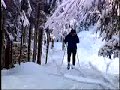 Région de Thetford... en hiver
