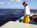peche marlin dcp